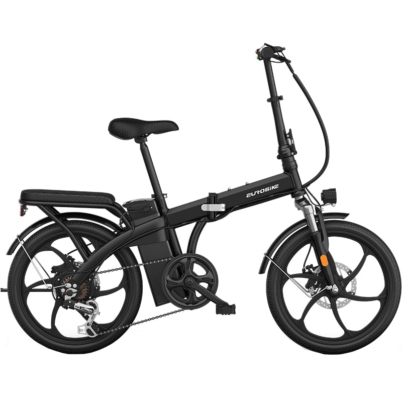20 Inch Folding Variable Speed Electric Bicycle 48V 300w Motor Easy To Disassemble Lithium Battery Steel Frame E Bike