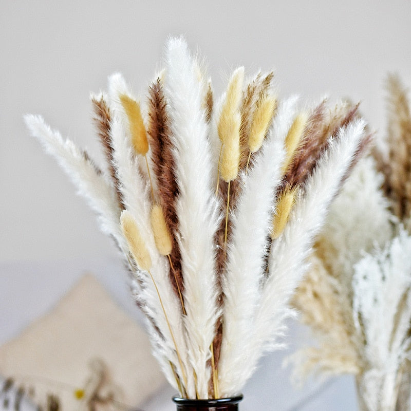 80PCS Natural Dried Pampa Grass Bouquet,Boho Home Decor Bouquet, Phragmites Dried Flowers,Bouquet for Wedding Ramadan Decoration