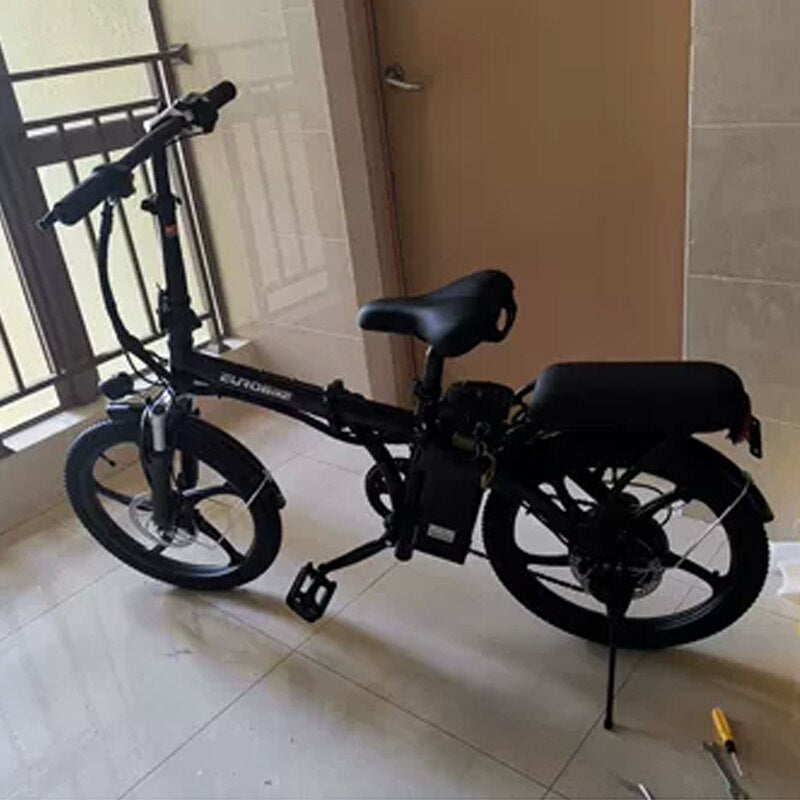 20 Inch 6 Variable Speed Electric Bike 48V 300w Motor Easy To Disassemble Lithium Battery Steel Frame Folding E Bicycle