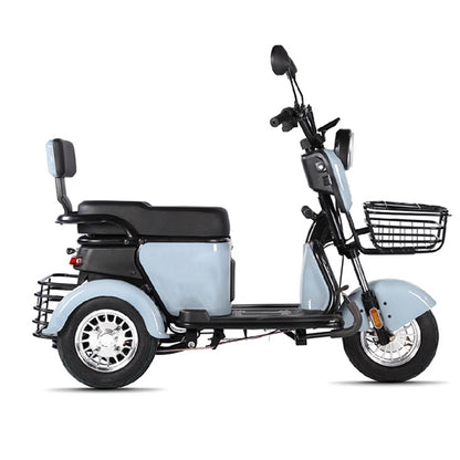 Mini Electric Tricycle Intelligence Electromobile High Cost Performance Ratio Alternate Walking Vehicle